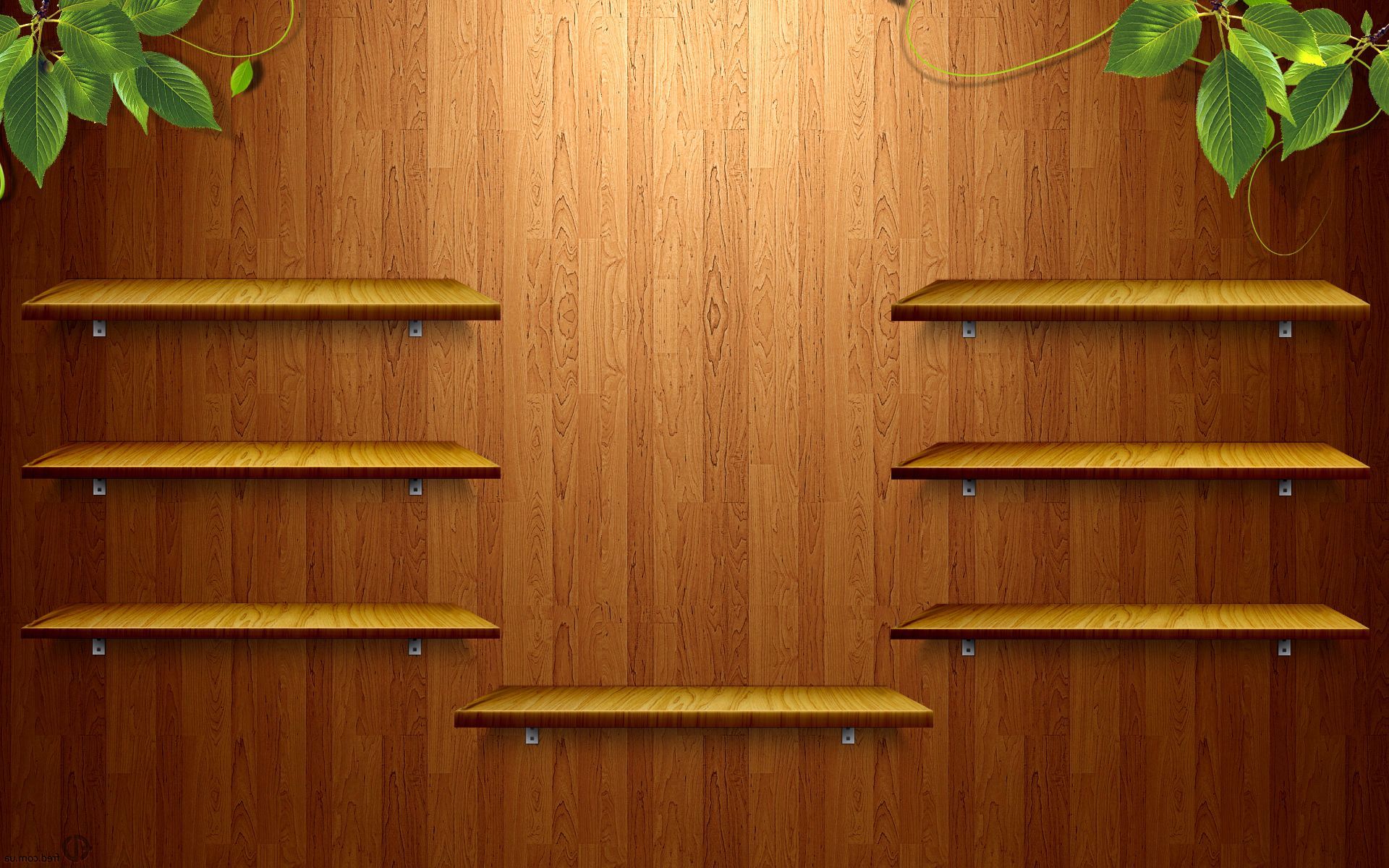 wooden-shelves-digital-art-hd-wallpaper-1920x1200-7977.jpg